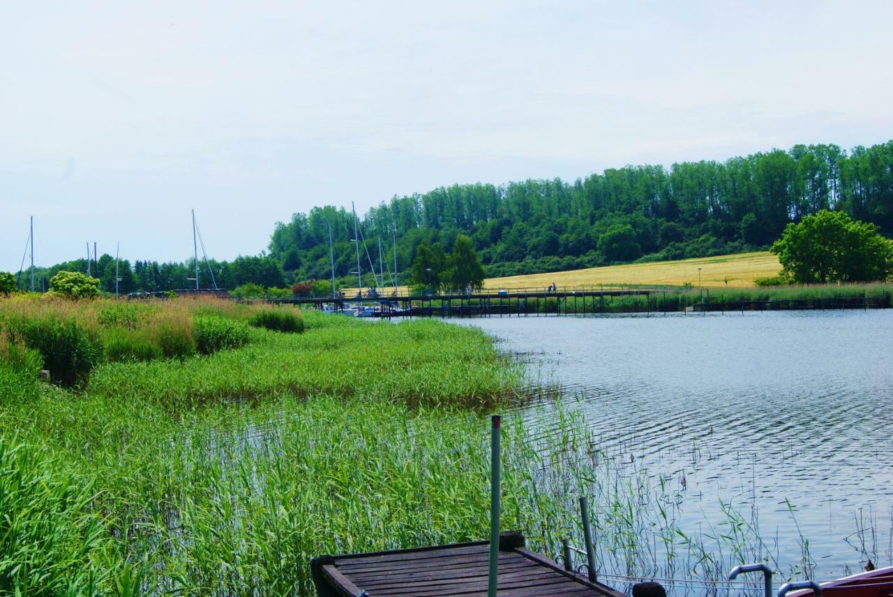 Ferienwohnung 4 Im Haus Am See Mit Wintergarten Und Terrasse Seedorf  ภายนอก รูปภาพ